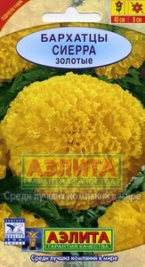 Бархатцы Сиерра золотые 0,3гр. Н70см /однолетник