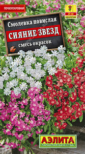 Смолевка Сияние Звезд повислая,СМЕСЬ окрасок 01гр Н25см /однолетник