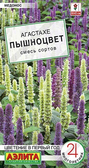 Агастахе Пышноцвет смесь сортов 0,1гр Н60-65см /многолетник