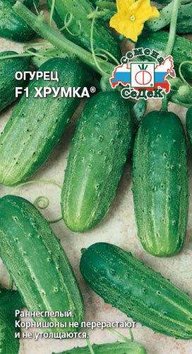 Огурец Хрумка F1 /0.3гр. скоросп.