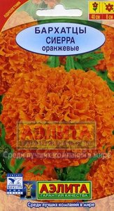 Бархатцы Сиерра оранж.густомахр. Н70см, Ø8см 0,3гр /однолетник