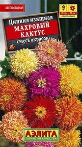 Цинния Махровый Кактус изящная 0,3г Н70см кактусов /однолетник