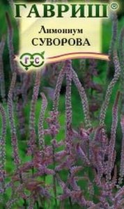 Лимониум Суворова розовый /0,01г/80см