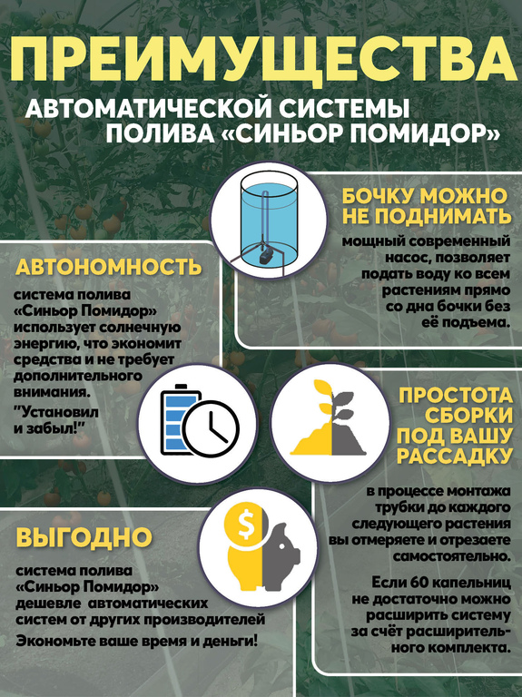 Система автоматического полива "Синьор Помидор"
