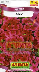 Вербена Румба /0,05г ярко-алая /однолетник