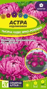 Астра Тысяча Чудес ярко-розовая карликовая 0,2гр /однолетник
