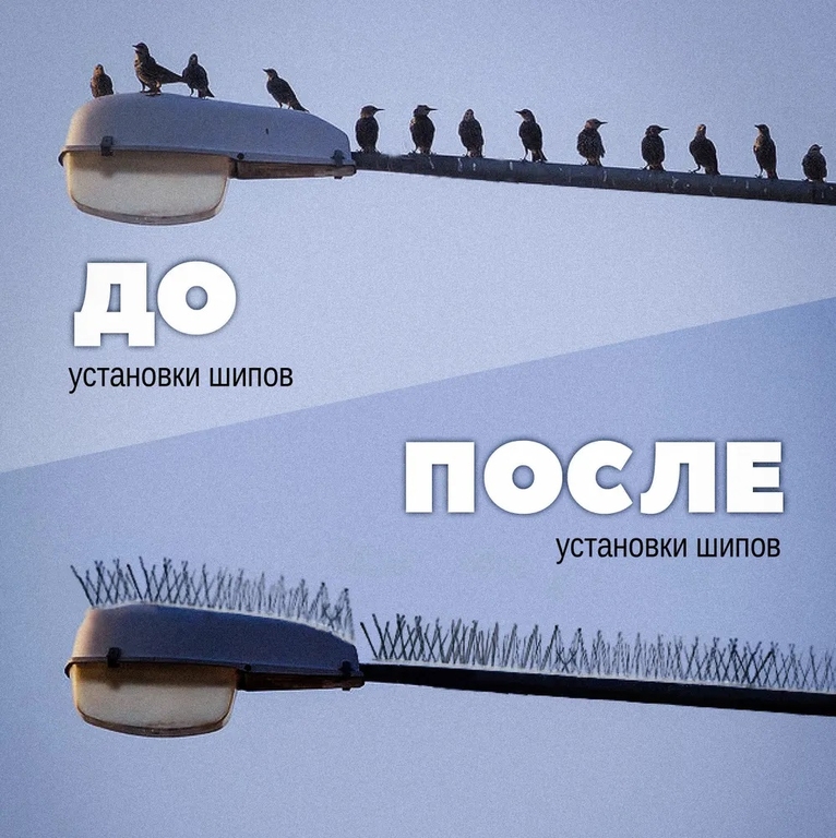 Противоприсадочные шипы на крышу от птиц "Барьер-Премиум 2"