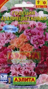 Годеция Азалиецветковая Смесь махровая 0,2гр /однолетник