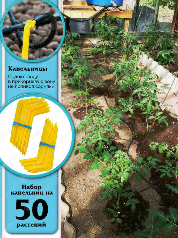 Система автоматического капельного полива "АкваДуся Start"