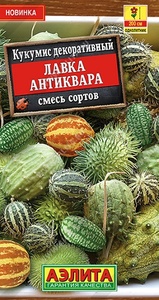 Кукумис Лавка Антиквара декоративный, смесь сортов 10шт /однолетнинк