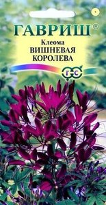 Клеома Вишневая Королева /0,3гр/90-150см
