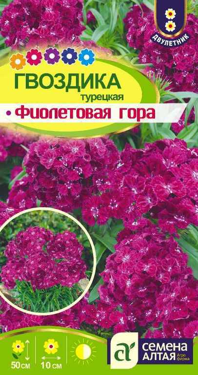 Гвоздика Турецкая Фиолетовая гора 0,01 Н50см, Ø10см /двулетник