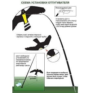 Комплект Воздушный змей Крук + флагшток 7 м