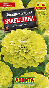 Цинния Изабеллина изящная георгиновидная 0,3г Н90см крупноцвет,жел-зел /однолетник