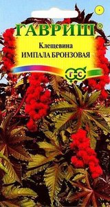 Клещевина Импала Бронзовая 5с Н120см /однолетник