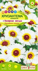 Хризантема Полярная Звезда килеватая 0,3гр Н60-70см /однолетник