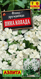 Флокс друммонда Пина Колада 0,2г крупноцвет. Н45см, белый /однолетник