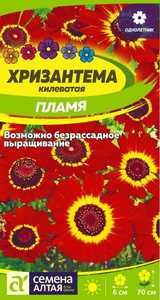 Хризантема Пламя килеватая 0,1гр Н70см /однолетник