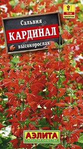 Сальвия Кардинал Высокорослая 0,1гр Н70см /однолетник