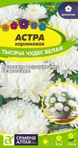 Астра Тысяча Чудес белая карликовая 0,2гр /однолетник