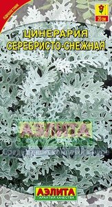 Цинерария Серебристо-Снежная /0,1г/20см /однолетник