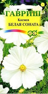 Космея Белая Соната /0,3гр/70см